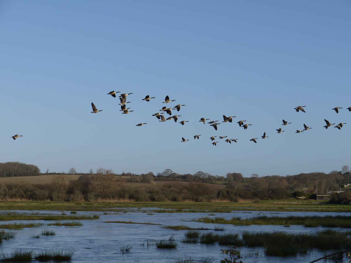 The Lodge On The Marsh Brading Eksteriør bilde