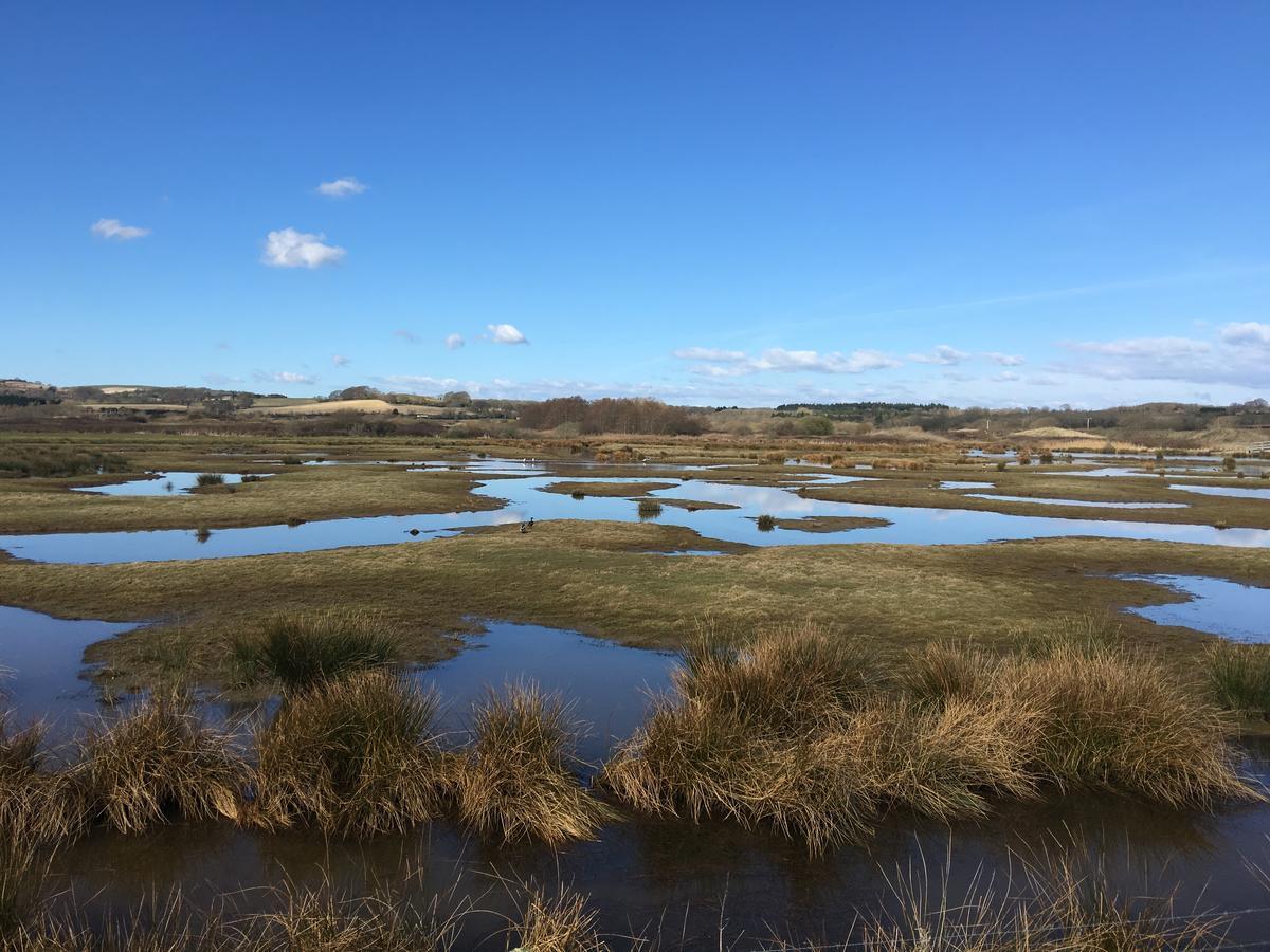 The Lodge On The Marsh Brading Eksteriør bilde